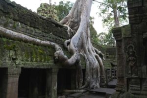 Ta Prohm – The Jungle Temple