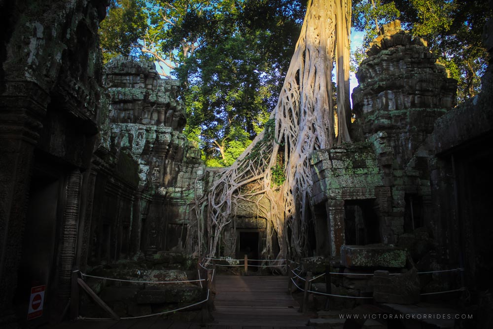 Ta Prohm Temple in the Afternoon
