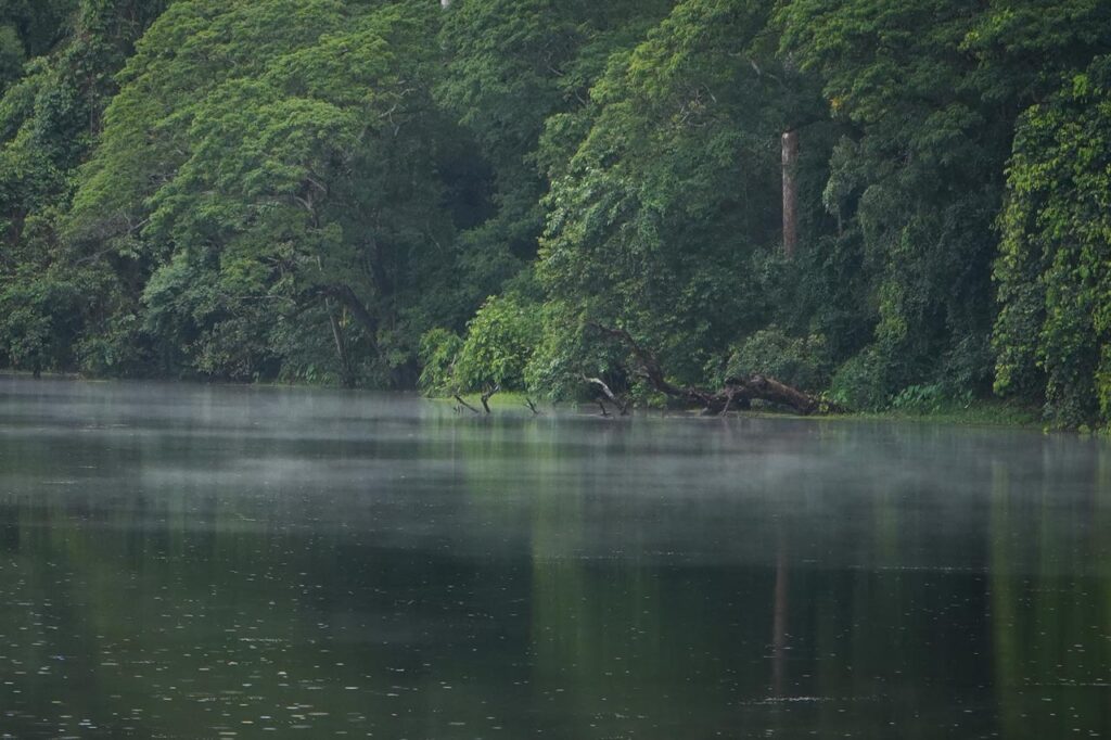 Reservoir of Angkor Thom