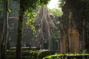 Ta Prohm Temple