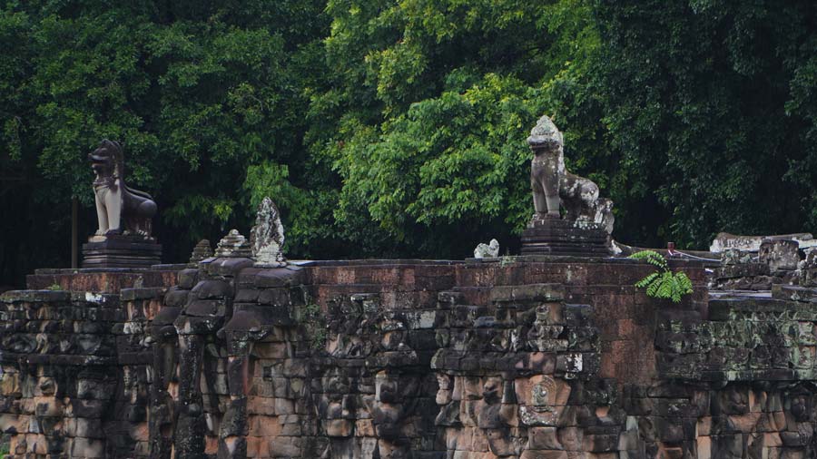 Terrace of the Elephants June 2026
