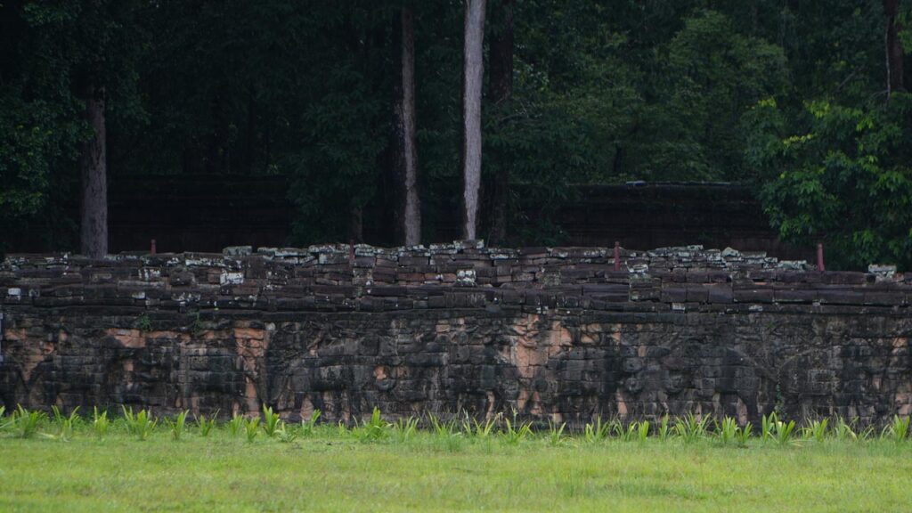 Terrace of the Elephants Rainy Day June 2026